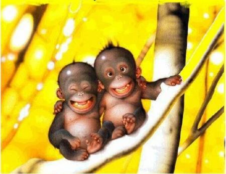 du  calme     les  petits